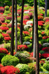 七国山薬王寺