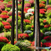 七国山薬王寺