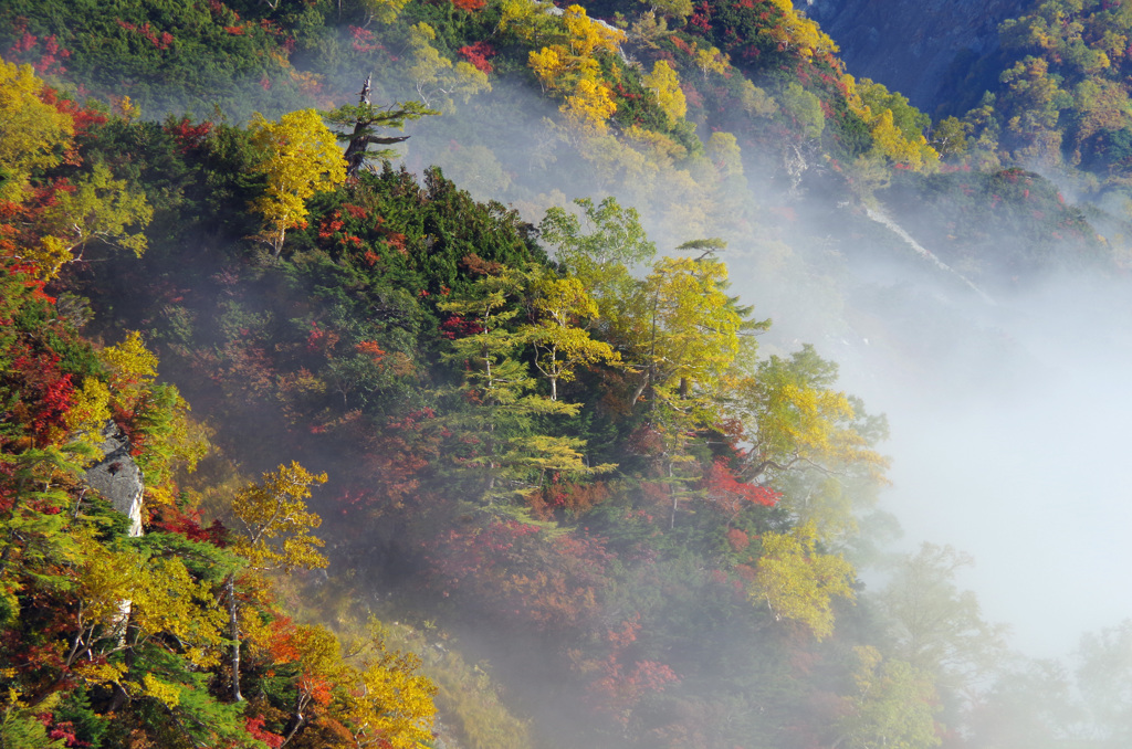 白馬岳_20140927_076