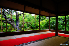 雨の宝泉院