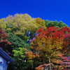 高尾山_20131123_012