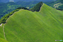 曽爾高原 緑の稜線