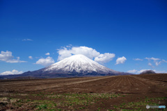 羊蹄山(蝦夷富士) IMGP3743