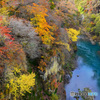 吾妻渓谷の紅葉 ふれあい大橋
