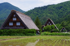 白川郷 IMGP3437