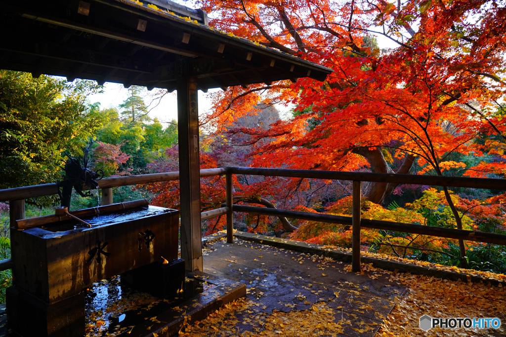 夕暮れの等々力不動尊