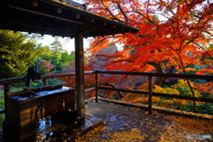 夕暮れの等々力不動尊