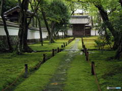 西芳寺