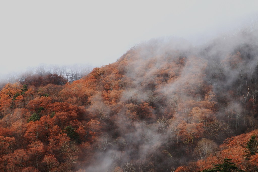 笠取山登山009