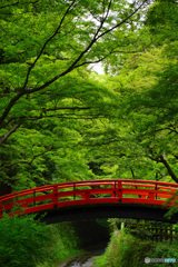 北野天満宮 青もみじ苑
