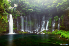 白糸の滝　IMGP6936