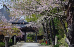 山寺　IMGP1392