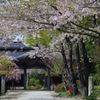 山寺　IMGP1392
