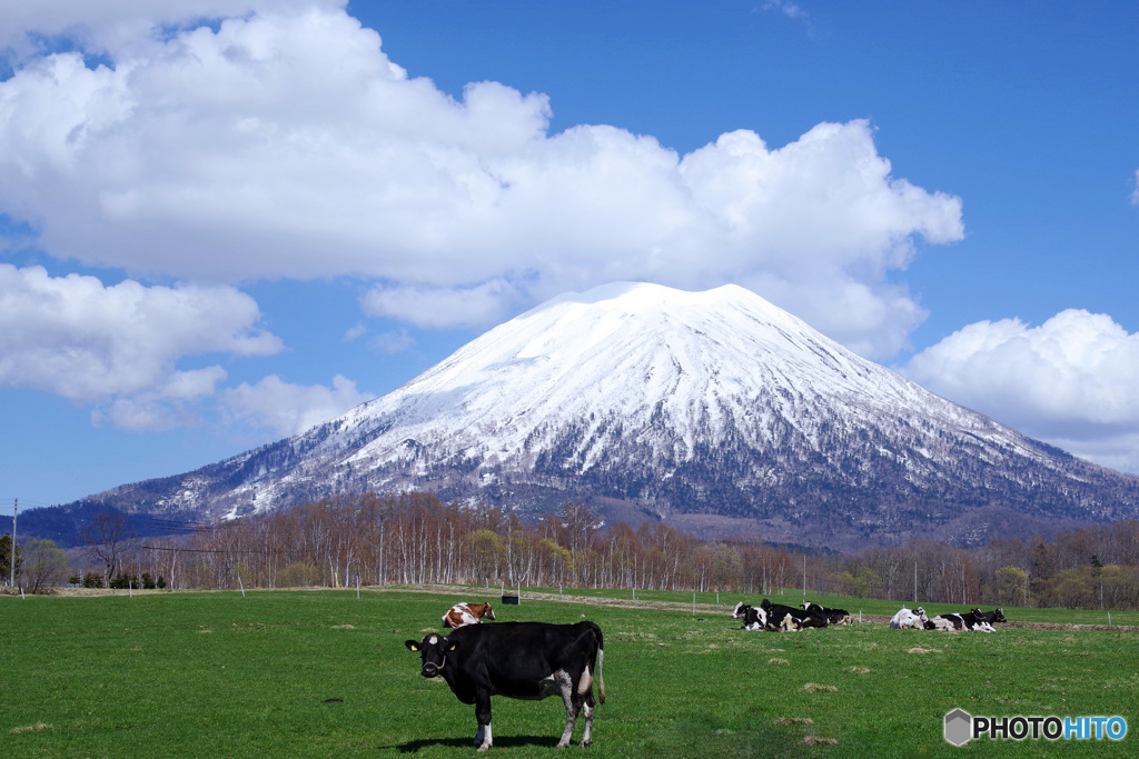 羊蹄山（蝦夷富士）IMGP3794
