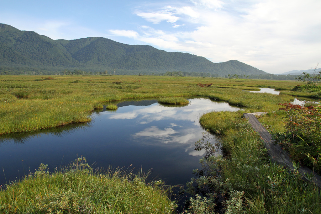 20110824_尾瀬ヶ原_015