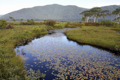 20110824_尾瀬ヶ原_014