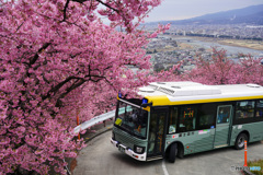 まつだ桜まつりシャトルバス