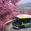 まつだ桜まつりシャトルバス