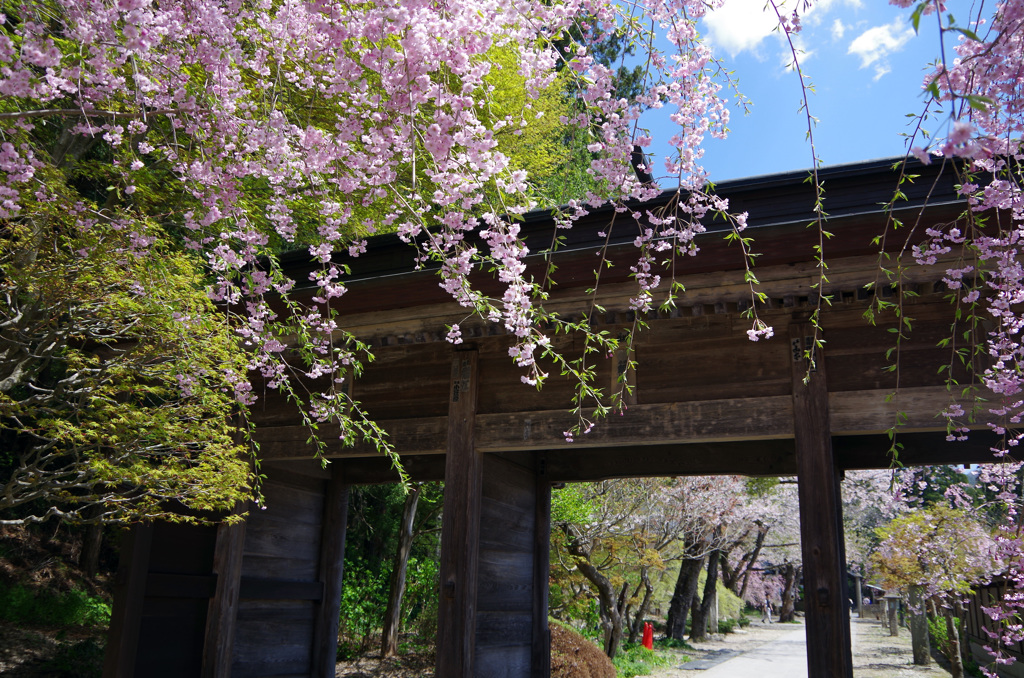 山寺　IMGP1529