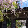 山寺　IMGP1529