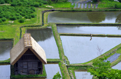 白川郷 IMGP3588