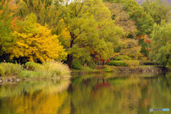 中島公園　IMGP0639