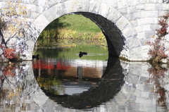 芸術の森橋