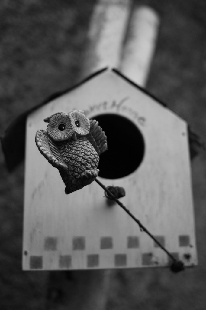 IMG_1526