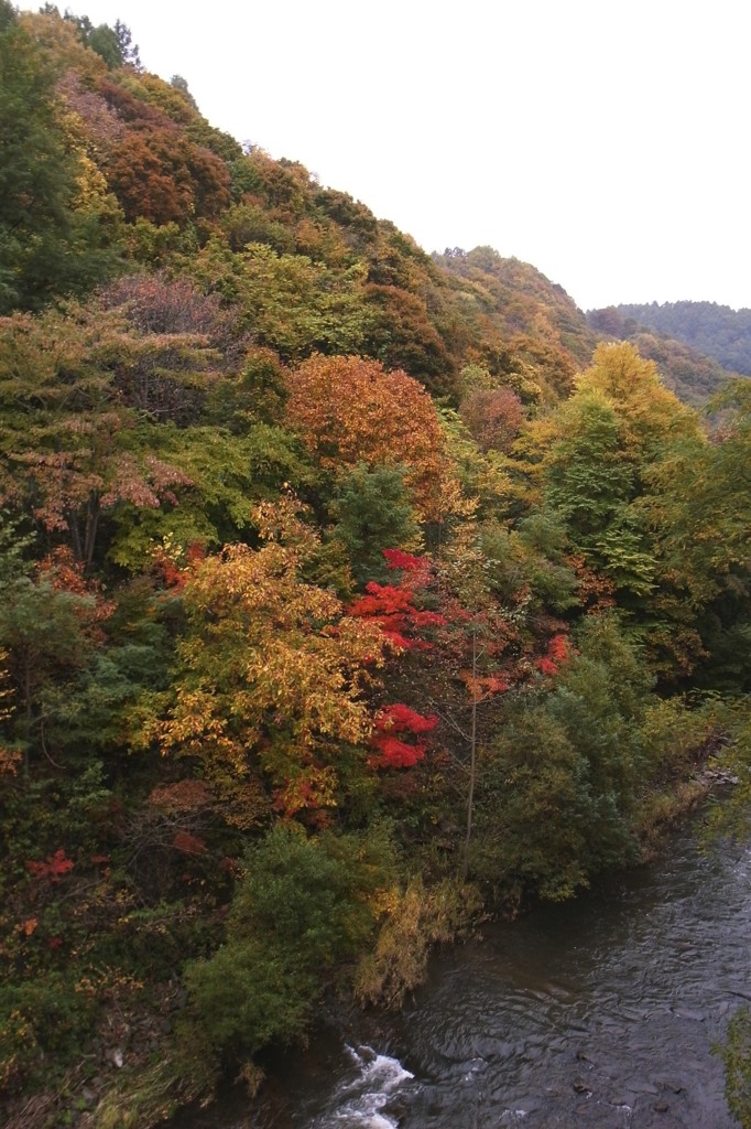 紅葉ー渓谷