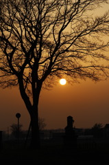 夕焼け