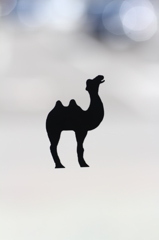 ラクダッ