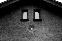 IMG_1534