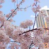 IMG_3800_R