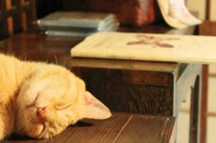 ZZZZZ