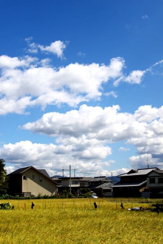 28mmに物足りなさを感じる瞬間