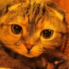 IMG_3589_R