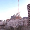 IMG_3443_R
