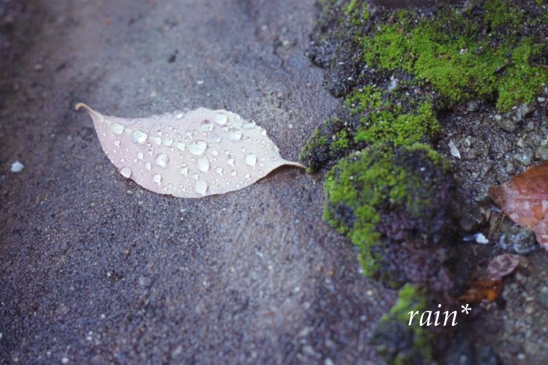 rain