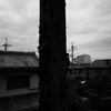 『1/2』