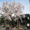 花まつりの大満寺