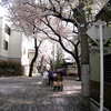 薄紅色の路
