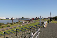 荒川の土手
