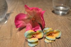 CSC_0502