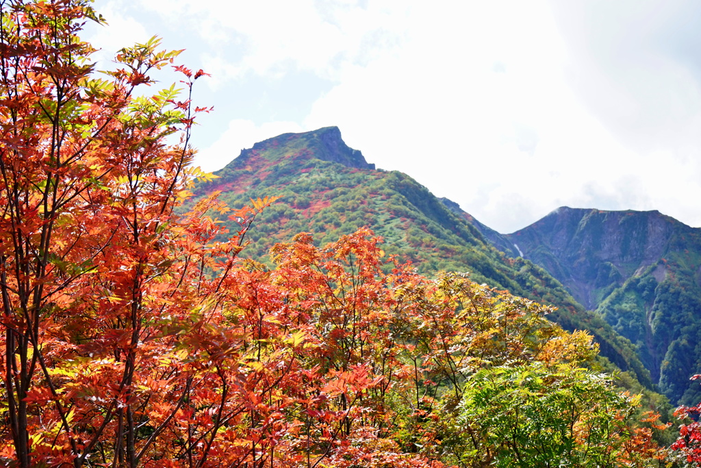 紅葉の黒岳山頂　1