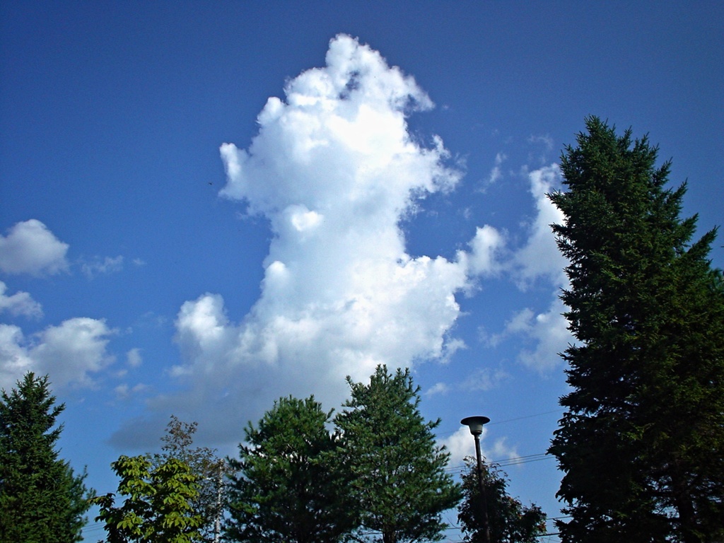 秋の空