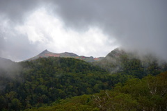 黒岳5合目から山頂を望む