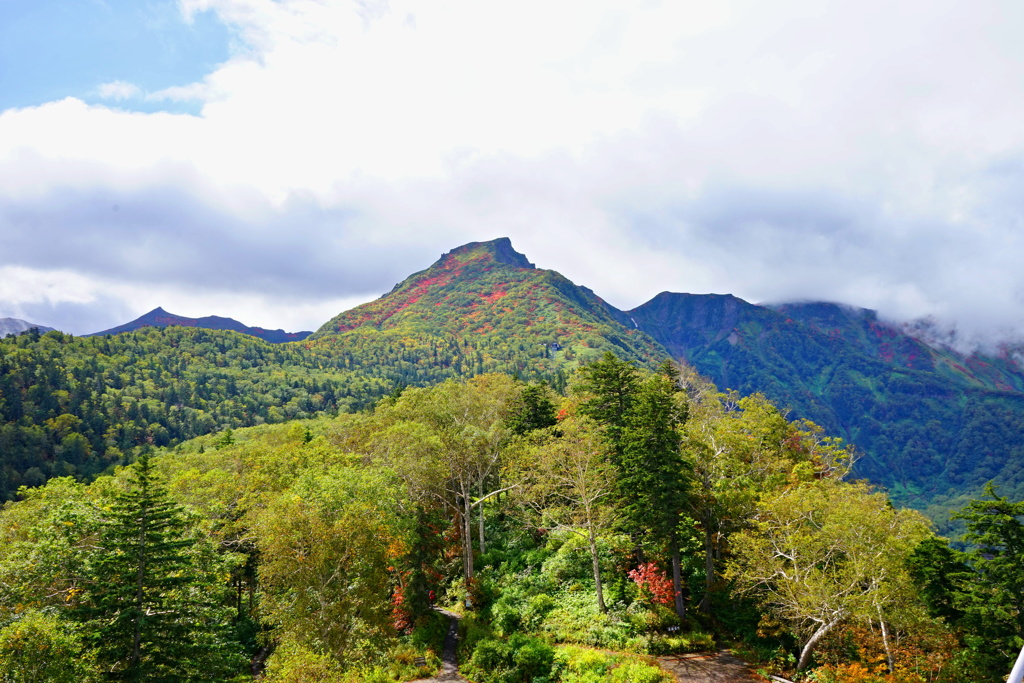 紅葉の黒岳山頂
