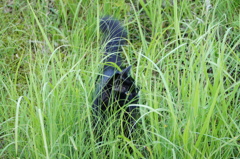 DSC01167