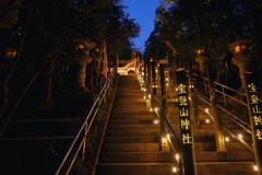 寳登山神社ライトアップ