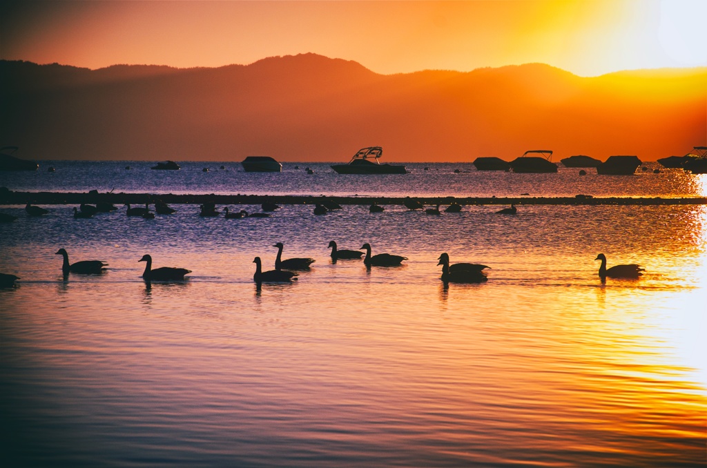 Stillness.